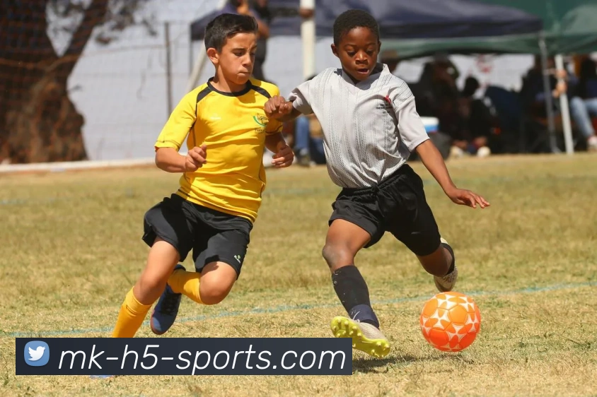 多媒体互动体验