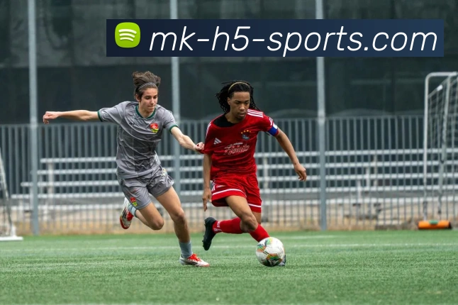 MK体育APP 高清赛事图