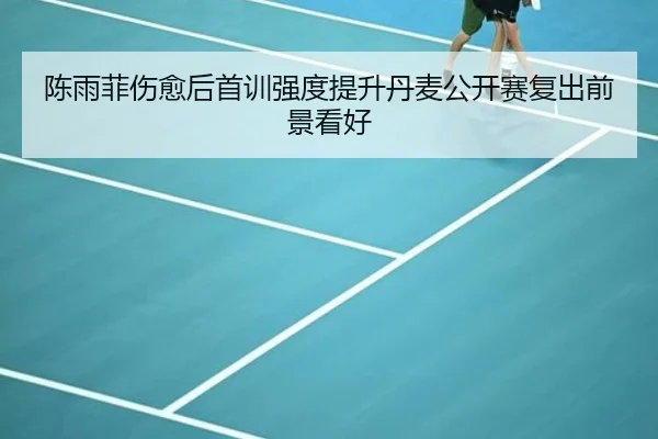 陈雨菲伤愈后首训强度提升丹麦公开赛复出前景看好 - mksports